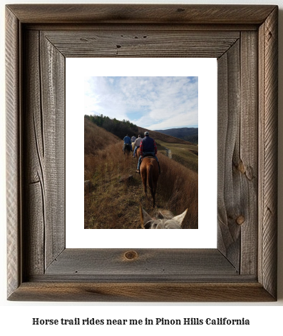 horse trail rides near me in Pion Hills, California